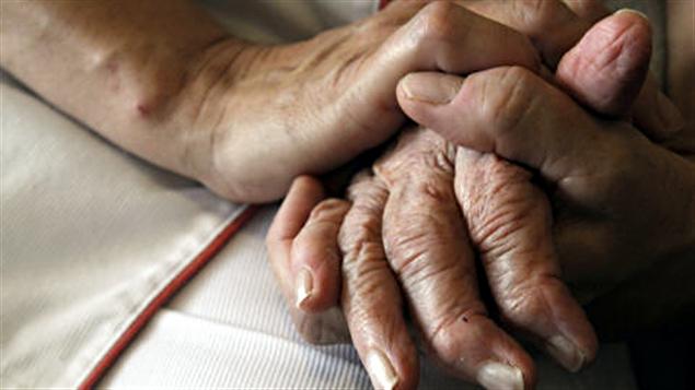 La force des s@ges – novembre 2013